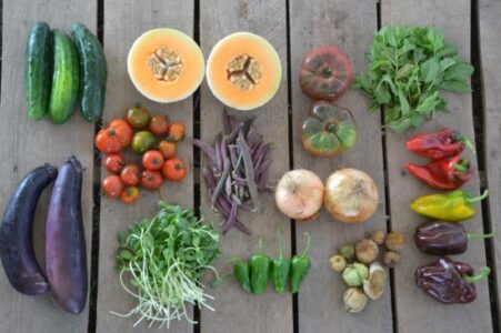 Stand Up and Sign Up: Community Farms Need You Now Image